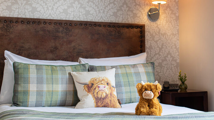 Room-107-Cow-Plushie-on-Bed