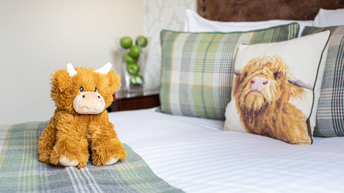 Room-107-Scotlands-Cow-Plushie