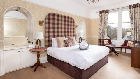 King Room