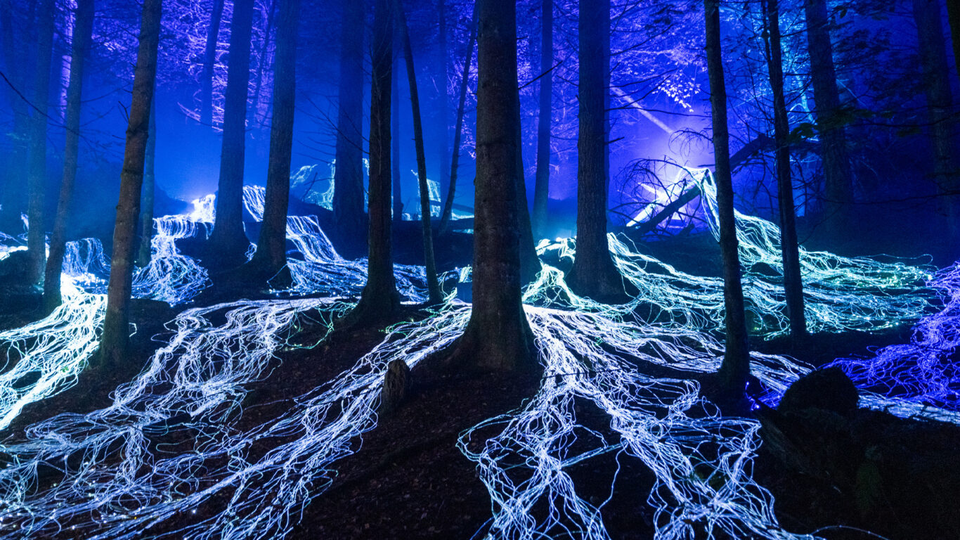 Enchanted-Forest-2026-3