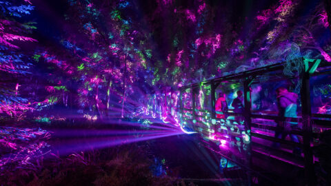 Enchanted-Forest-2026